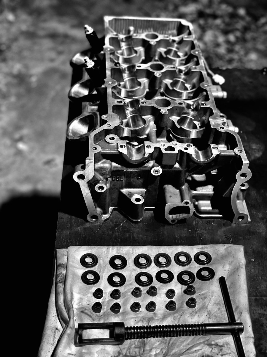 ZuvaanE's tweet image. Think big, trust yourself and make it happen.♥️🇲🇻⚙️🫀