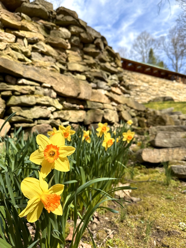 Happy Easter from Kentuck Knob! We are open for Guided House Tours and In-Depth House Tours, or take a stroll along the Woodland Walk Sculpture Trail! Tickets are available on our website (link in bio) or call (724) 329-1901.