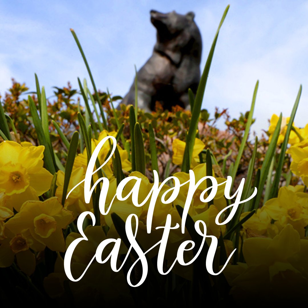 May this day remind us of the miraculous journey from darkness to light, and may our hearts be filled with the enduring promise of renewal and life. Wishing the entire Baylor family a very Happy Easter filled with love and blessings.