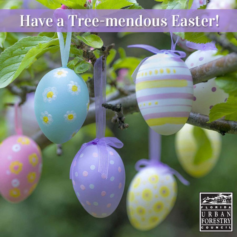 The Florida Urban Forestry Council wishes everyone a tree-mendous Easter!

#FloridaTrees #UrbanForestry #easter #eastereggs