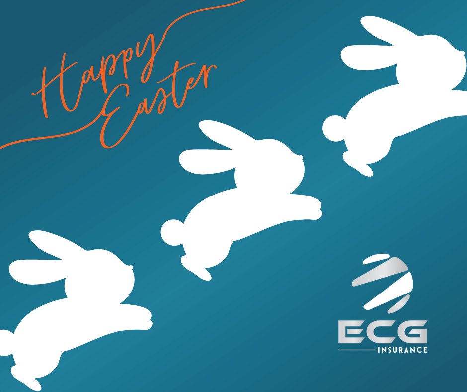 EcgInsurance tweet picture