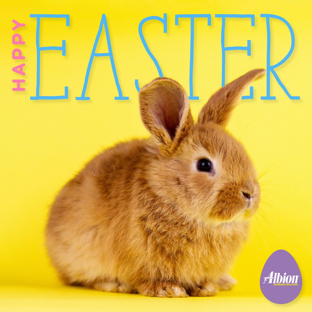 AlbionEngCo's tweet photo. Happy Easter! May your day be filled with colorful eggs, sweet treats, and lots of love. #HappyEaster #EasterSunday #SpringTimeVibes #holiday #holidayweekend #albioneng https://t.co/uXILEgAN7j