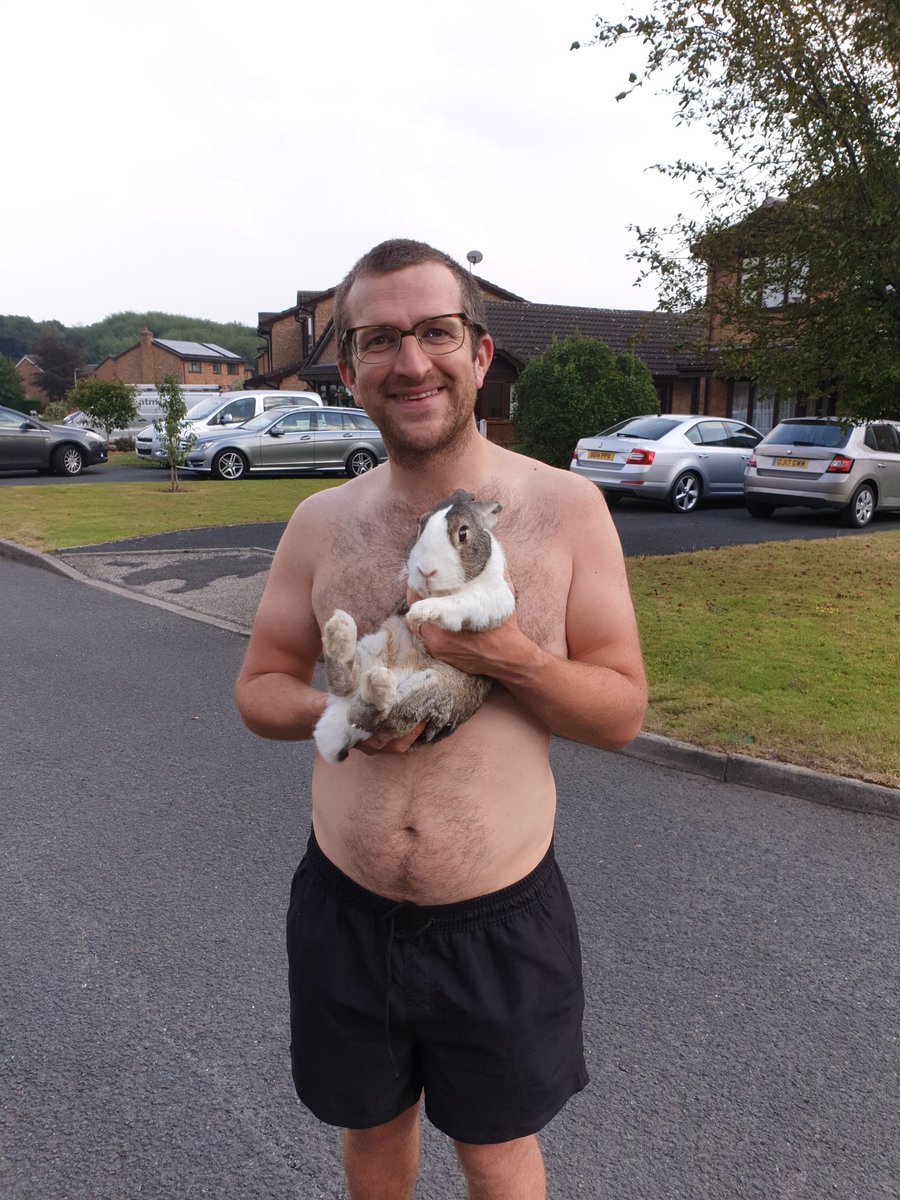 David Ross tweet media