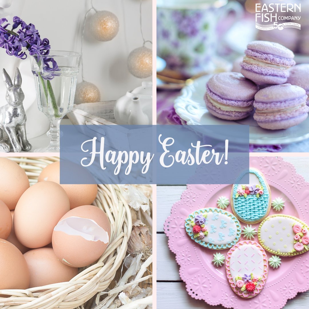 EasternFishCo's tweet photo. Wishing you a day filled with joy, laughter, and the warmth of loved ones. Happy Easter from all of us at Eastern Fish! 🐰 https://t.co/4hVjno57ys