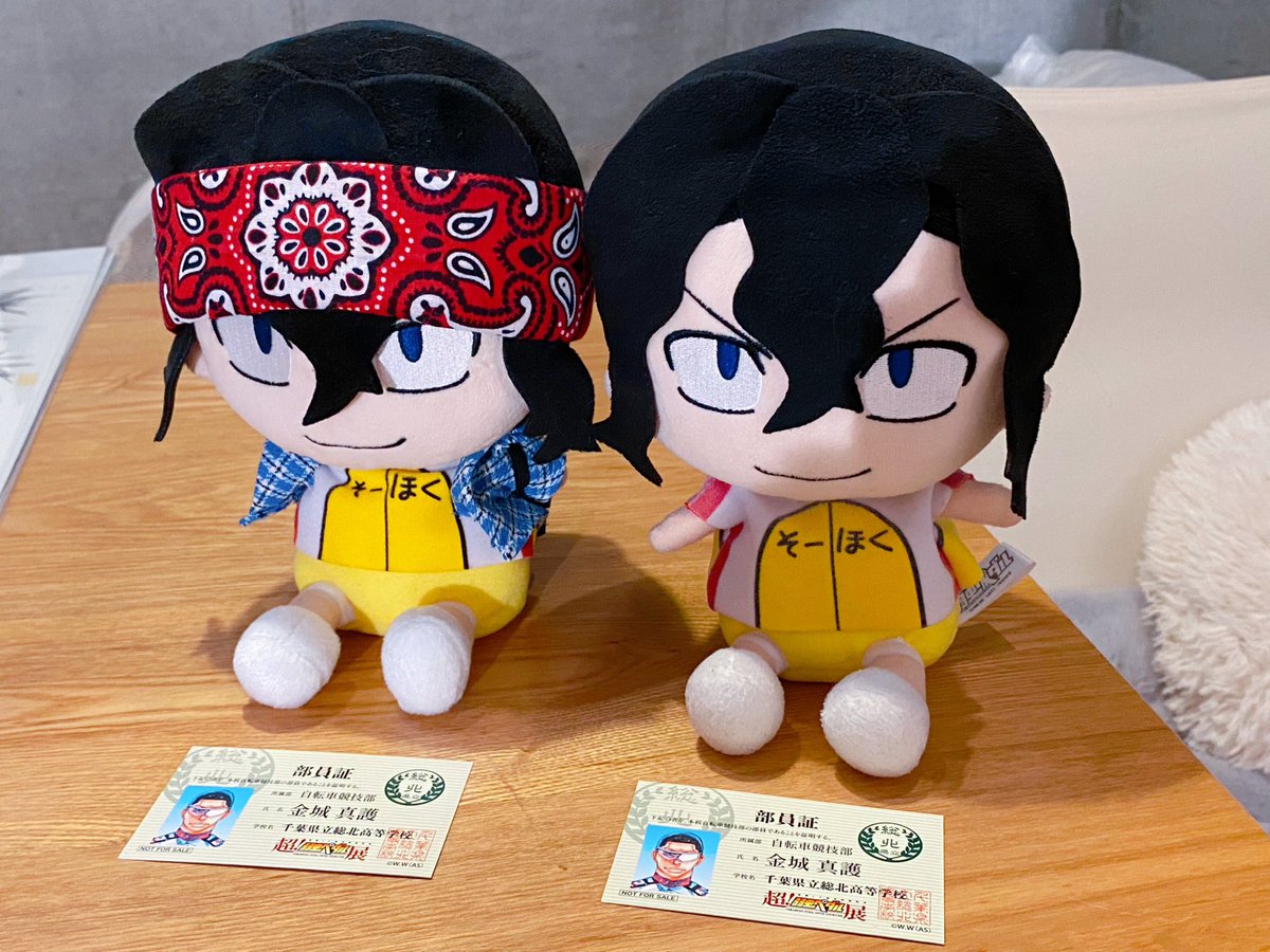 おたぬいせんぱいの　おうちに　あそびにきてるんだわ

これは　にゅうじょうとくてんが　おたがい　きんじょうさんだった　きねんの　しゃしん

ものすごい　ぐうぜんなんだわ