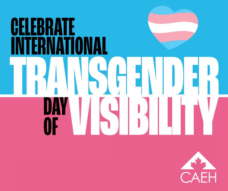 🏳️‍⚧️ March 31st marks International Transgender Day of Visibility, a day to celebrate and uplift transgender people around the world! #TransRightsAreHumanRights! Together, let's spread awareness, love, and acceptance. Happy International Transgender Day of Visibility!
