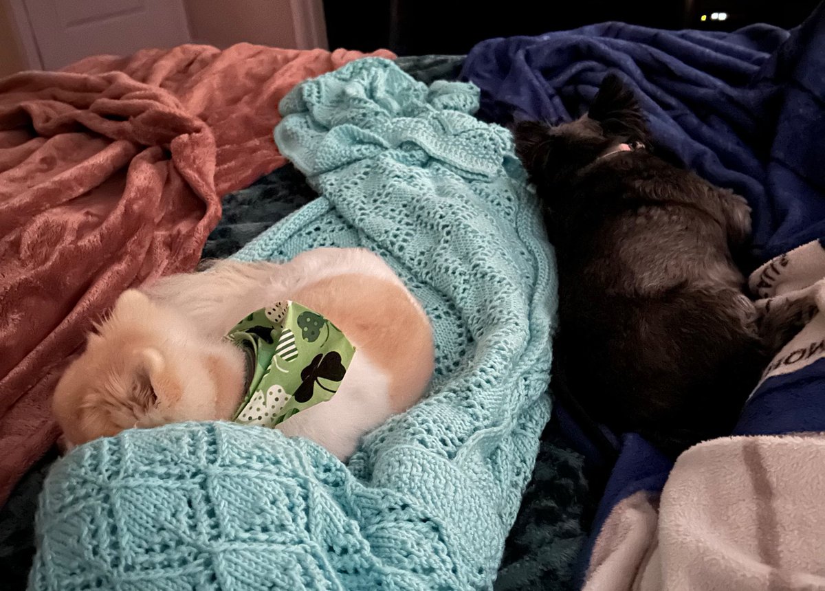 Jackie Smith tweet media