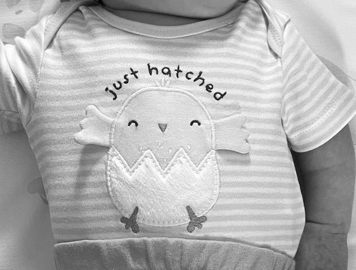 Happy Easter 🐣💛