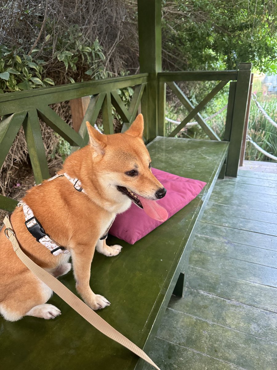 Hugo Philion tweet media