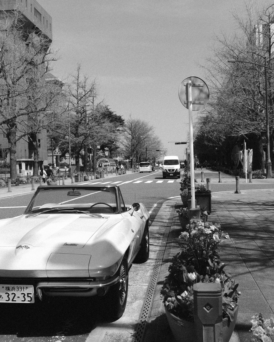 bitcan47's tweet photo. 陽射しが痛い

#日本大通り 
#横浜 
#yokohama 
#kodak
#fz45
#snap https://t.co/ZqzzpovLhT