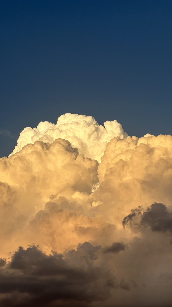 الطرقي tweet media