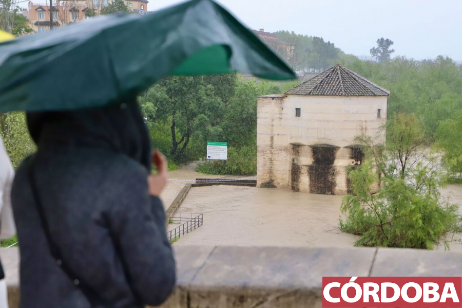 cordoba's tweet photo. 📷 FOTOGALERÍA | El caudal del río Guadalquivir, enormemente crecido a su paso por Córdoba 👉 https://t.co/b4HLrTBbMe https://t.co/LElOJsfcIp