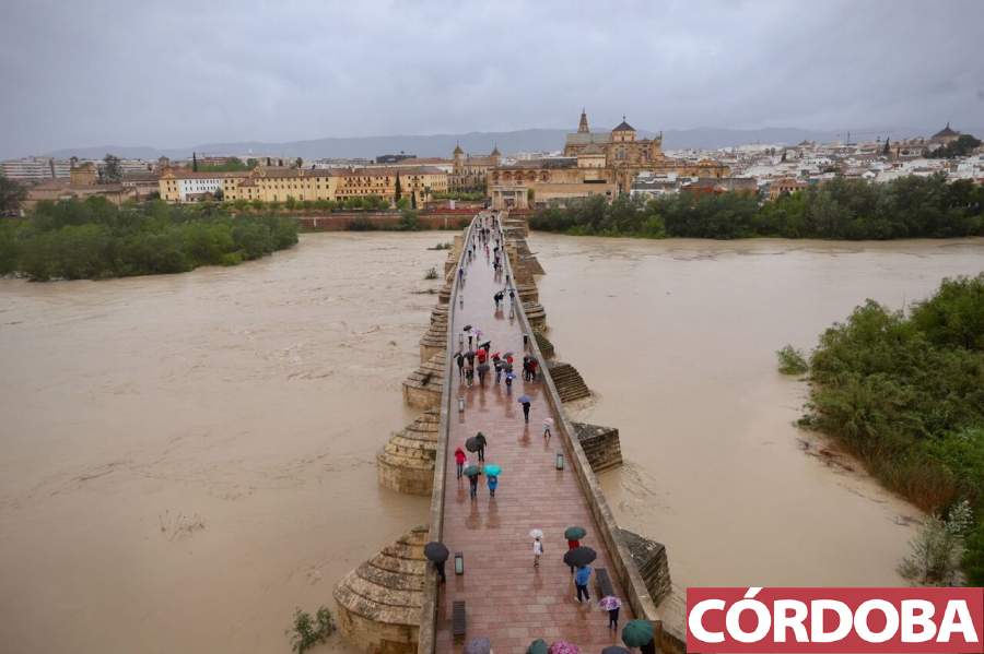 cordoba's tweet photo. 📷 FOTOGALERÍA | El caudal del río Guadalquivir, enormemente crecido a su paso por Córdoba 👉 https://t.co/b4HLrTBbMe https://t.co/LElOJsfcIp