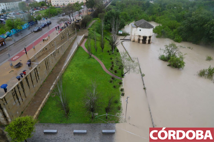cordoba's tweet photo. 📷 FOTOGALERÍA | El caudal del río Guadalquivir, enormemente crecido a su paso por Córdoba 👉 https://t.co/b4HLrTBbMe https://t.co/LElOJsfcIp