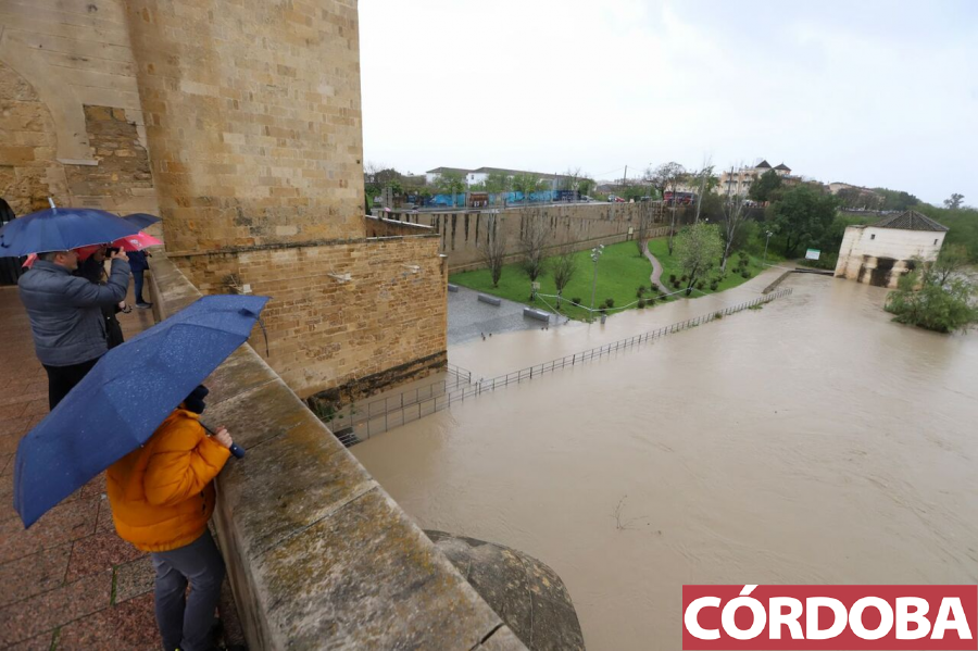 cordoba's tweet photo. 📷 FOTOGALERÍA | El caudal del río Guadalquivir, enormemente crecido a su paso por Córdoba 👉 https://t.co/b4HLrTBbMe https://t.co/LElOJsfcIp