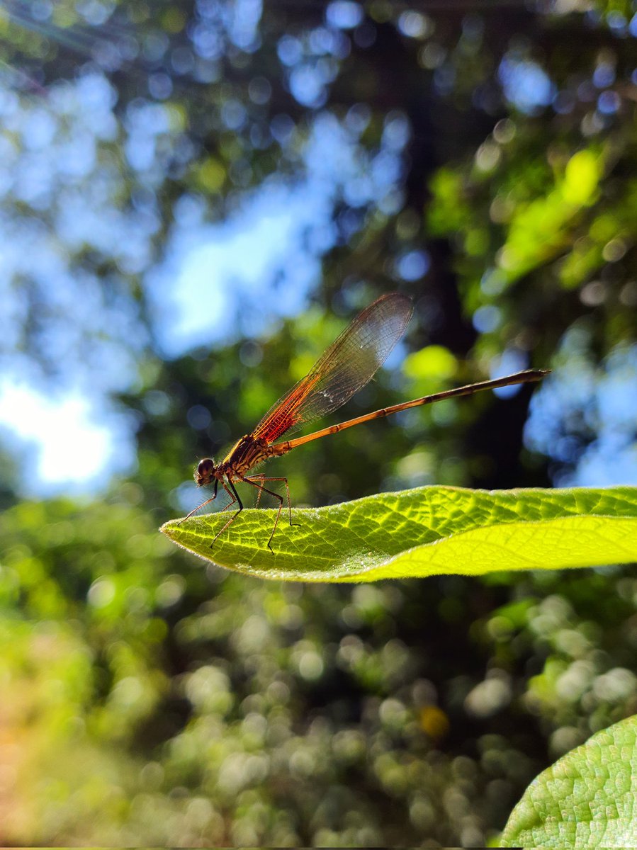 ___m00n's tweet image. 📸