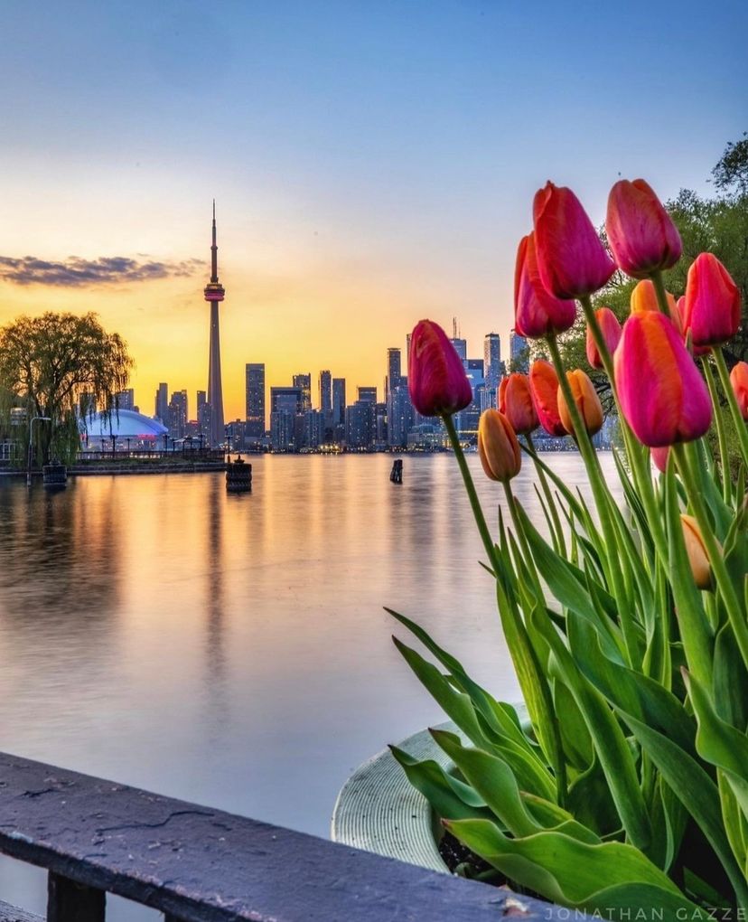 Happy Easter, Toronto! 🐰 🐣 💐 📸 jgazze on IG