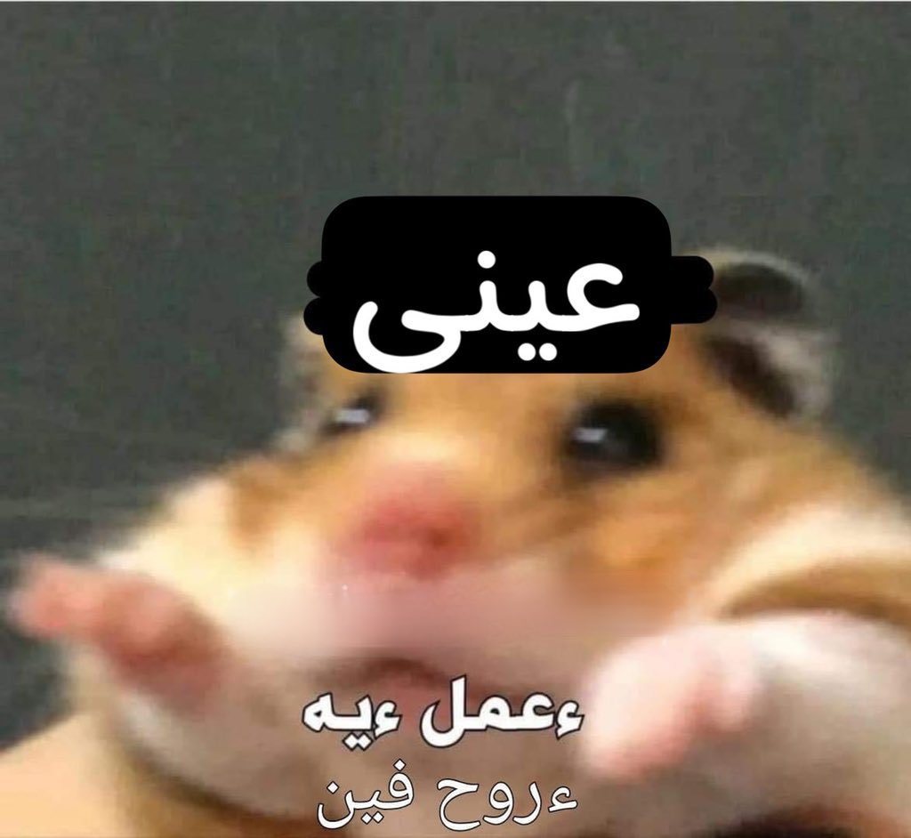 Toonzatt's tweet photo. لما حد يبص لي وهو بيكلمني https://t.co/5qAXss4VZ9