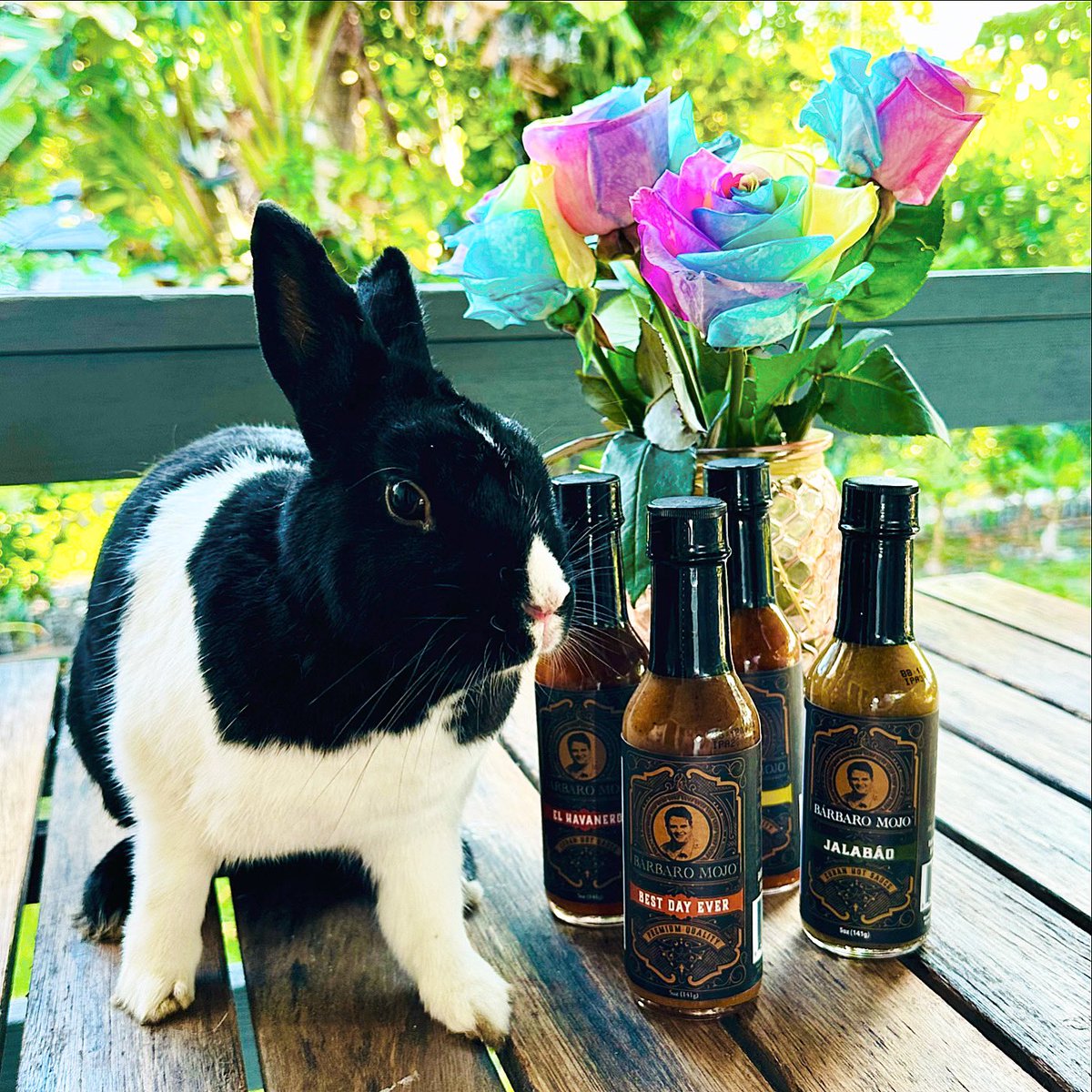 Somebunny hopped by and left me the best Easter surprise… 4 bottles of Barbaro Mojo hot sauce! Gracias Mr Bunny!!!! #happyEaster #QueBarbaro🐰🐇🔥 

#HotSauce #SpicyFood
#ChiliHead #HotSauceAddict
#SauceNation #PutSomeSpiceInYourLife