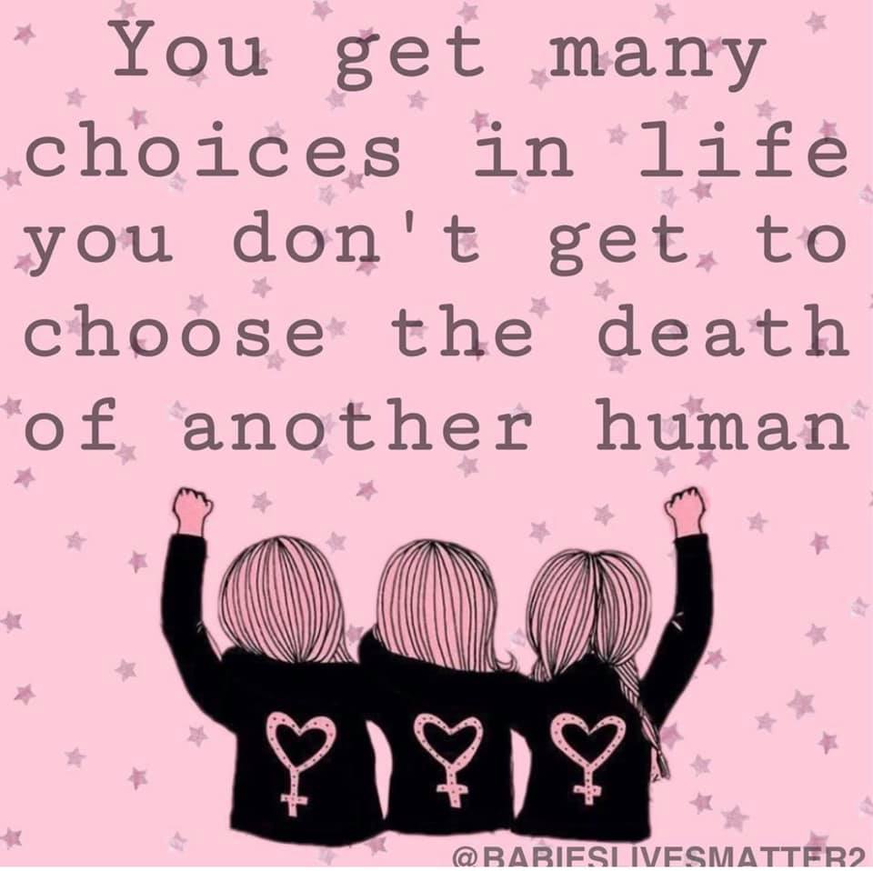 cybermom1999's tweet image. The most anti-choice thing you can do is to prevent all future choices of another human being by killing them before they’re born. #antichoice #forcedbirther