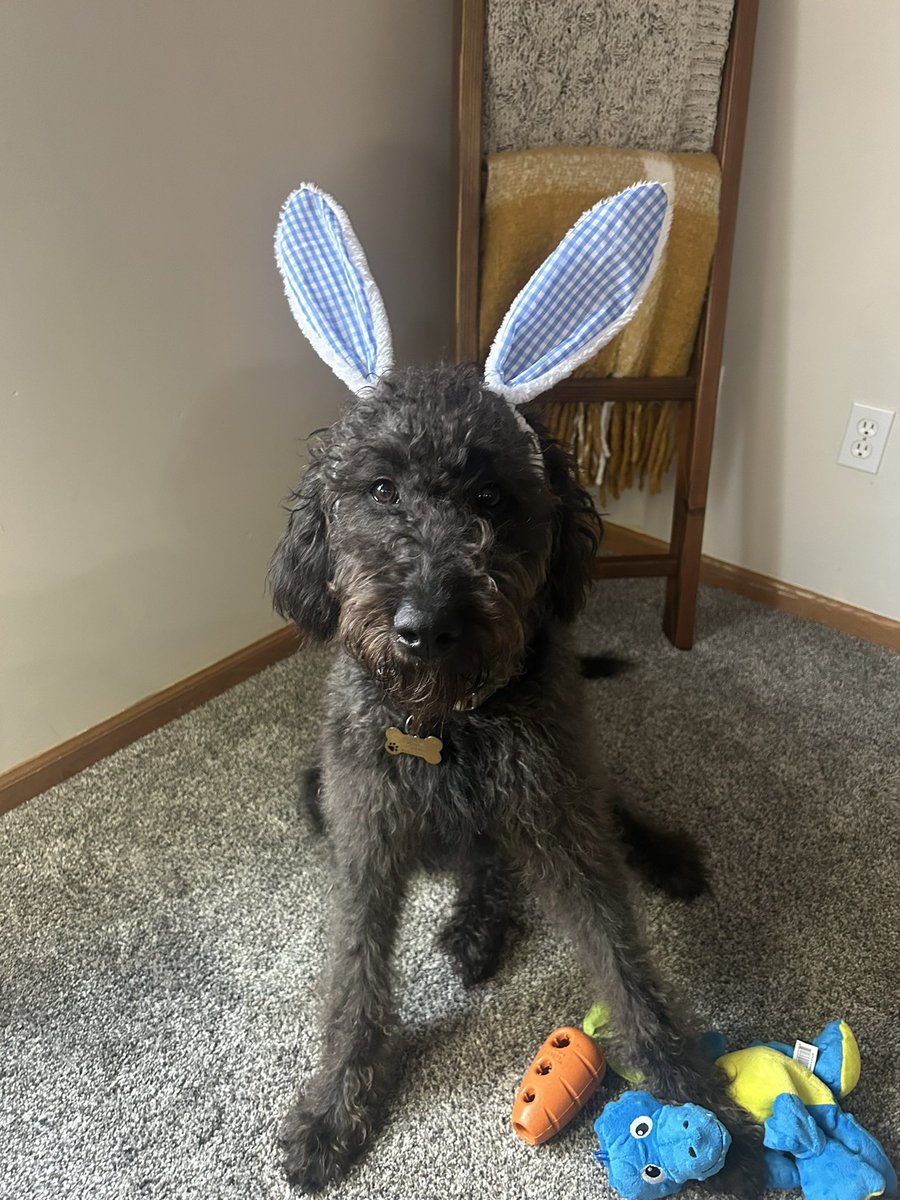 Austin Dobbels tweet media