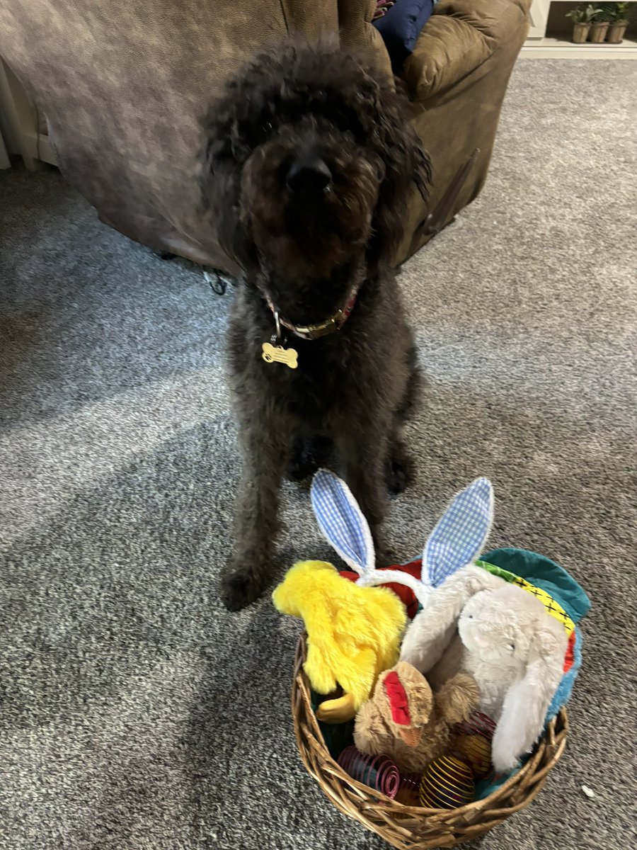 Austin Dobbels tweet media