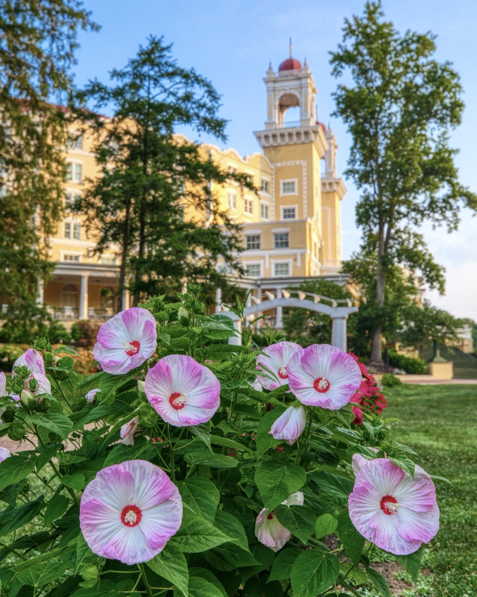 Happy Easter, everyone – may your day be as bright and cheerful as springtime blooms! 🐰🌸 #FrenchLickResort #WestBadenSpringsHotel