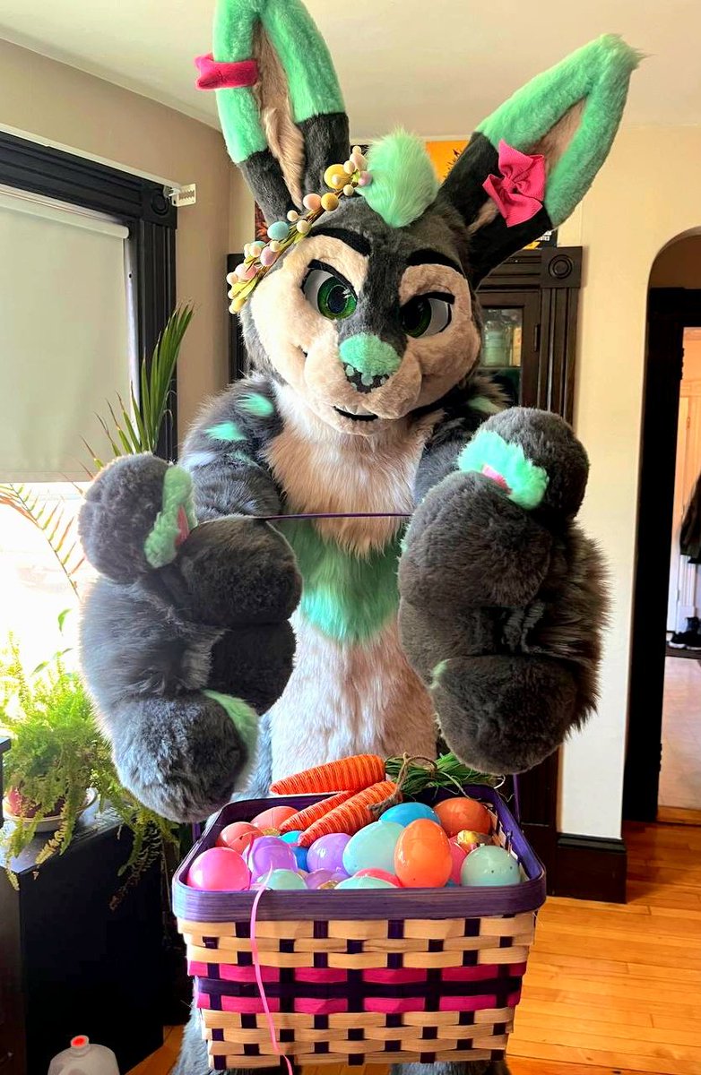 Your local New England Bunny representative would like to wish you a very Hoppy Easter! 🏵🐰🥚🐰🌸