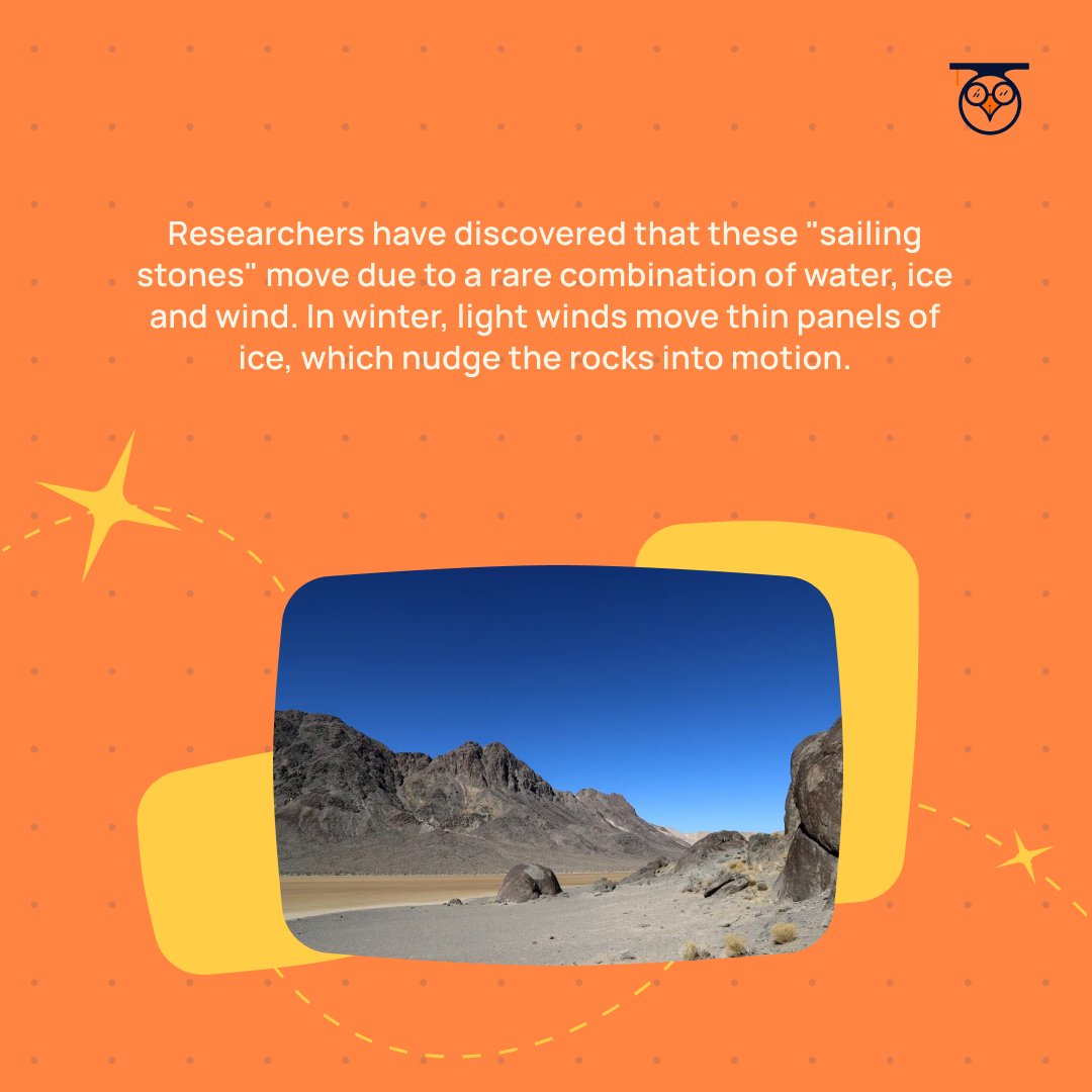 TheTechnothlon's tweet photo. Secrets of the desert revealed: Discover the monumental mystery of Death Valley's wandering rocks! 🏜️
#california #US #iitg #technothlon24 #around #the #world #racetrack #playa #death #valley #national #park #techniche2024 #fact #mystery #scientific #phenomenon https://t.co/azvHzyWnqV