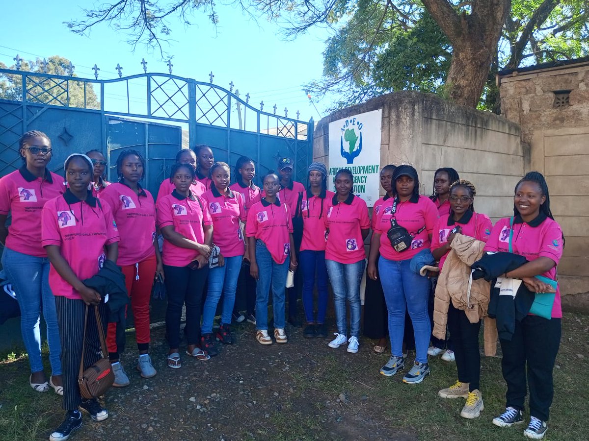 African Development and Emergency Organization tweet media