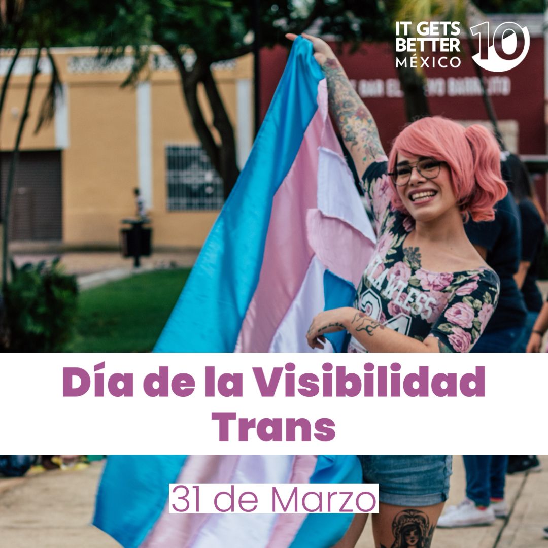 🏳️‍⚧️ No hay LGBTQ+ sin la T. Hoy que es el Día de la #VisibilidadTrans es un llamado a las personas aliadas cis, sean hetero o LGB, a: 🩵 combatir la transfobia 🩷 seder el micrófono 🤍 respetar pronombres 🩷 no fiscalizar cuerpos ajenos 🩵 defender a infancias trans