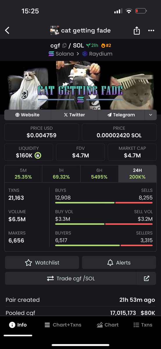 Conviction and community. $CGF is just getting started @CatgetfadeSOL. The meme is just too great to be faded. Send it higher!!!!