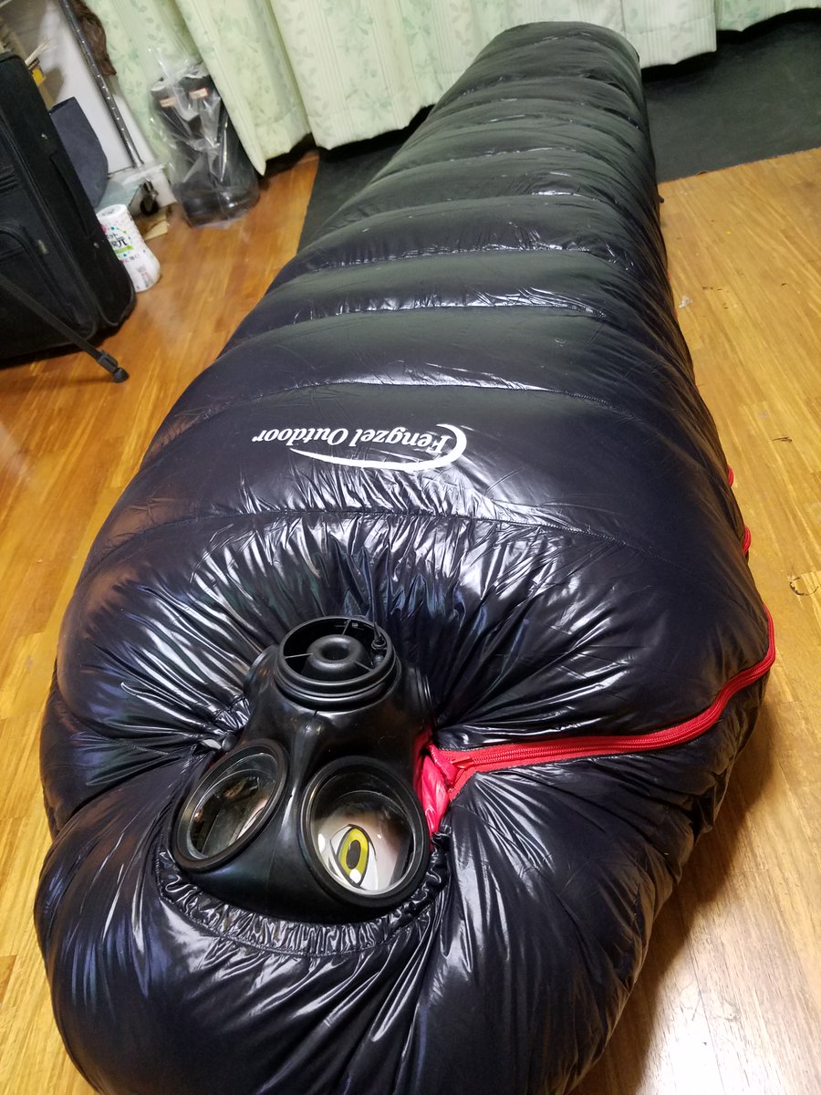 Eランチ tweet media