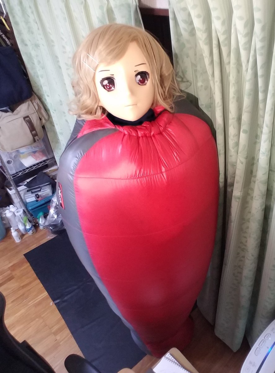 Eランチ tweet media