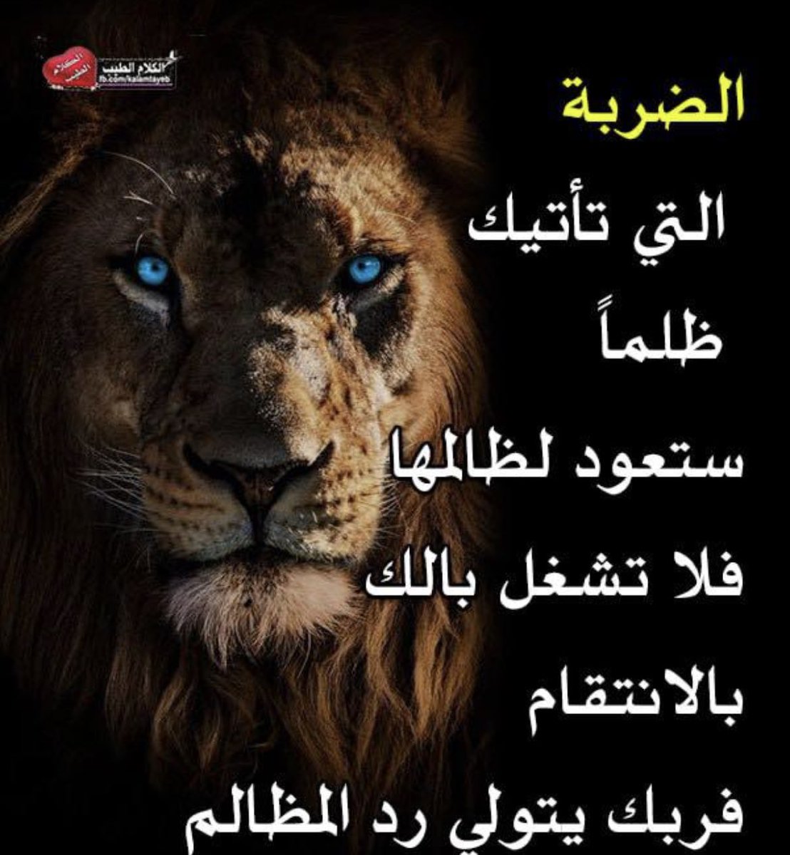 أحمد جراغ (@ahmed_jragh) on Twitter photo 
