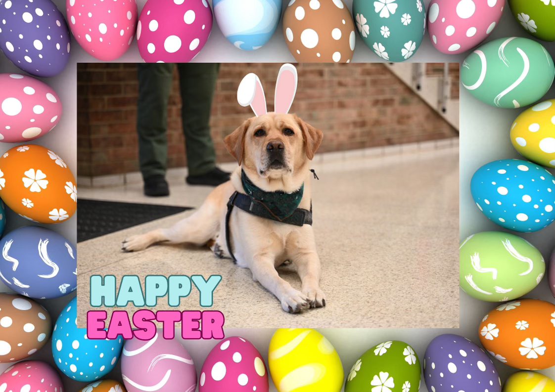 Happy Easter! Have a beautiful day!