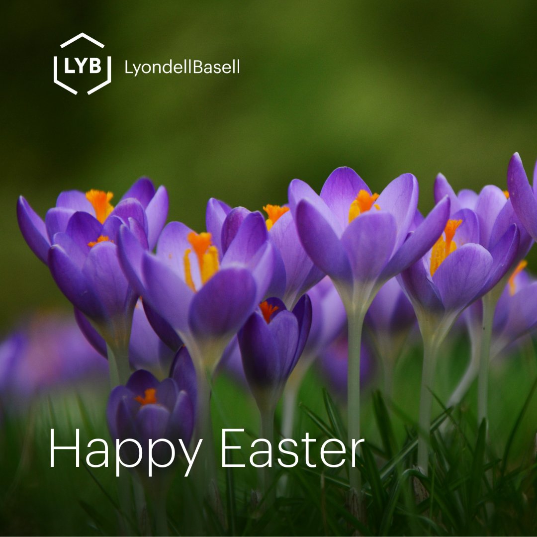 LYB extends a joyous Easter greeting to those celebrating! Easter is a time of renewal, rebirth, and the celebration of new life. It embodies the spirit of fresh starts and the promise of a brighter future. Wishing you a safe, happy, and #Easter filled with joy!