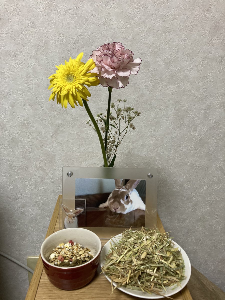 0902sor's tweet photo. 可愛いお花買ってきた🌸
昨日初めて夢に出てきてくれたね😊
久しぶりに会えて嬉しいよ♡ https://t.co/06kdC2ZgBv