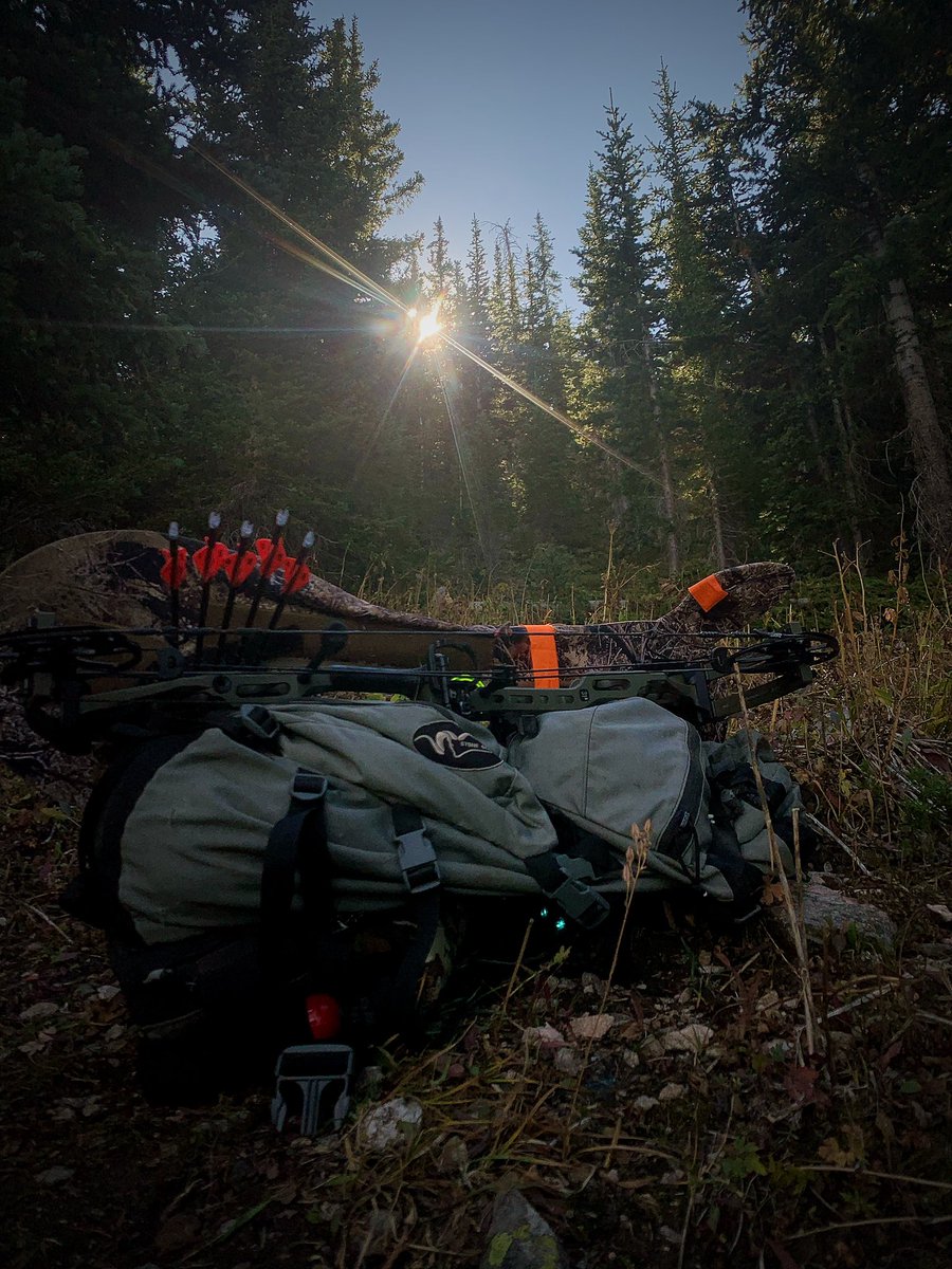 huntography tweet media