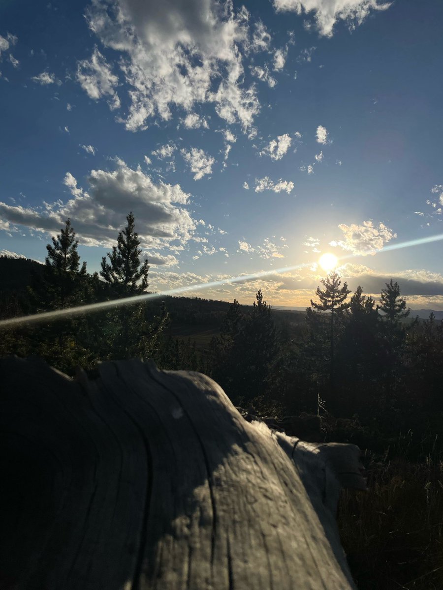 huntography tweet media