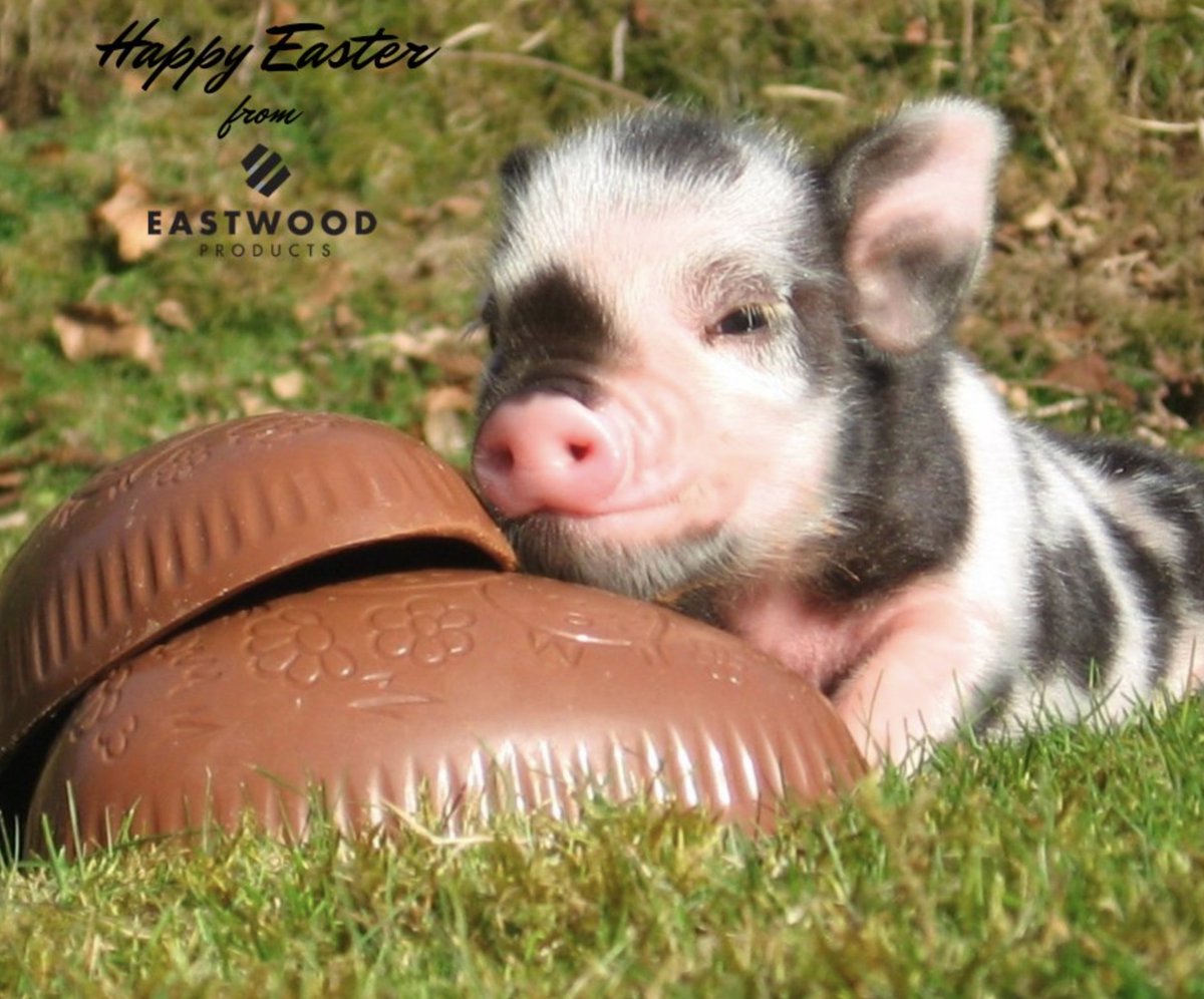 Happy Easter From Eastwood Products!
#Westcdnag #Plant24 #Spring #Easter