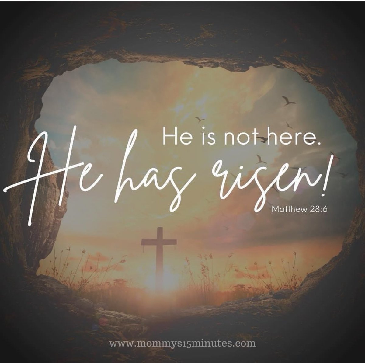 stephalexbrooks's tweet photo. Happy Easter! https://t.co/YYegcCwm8t