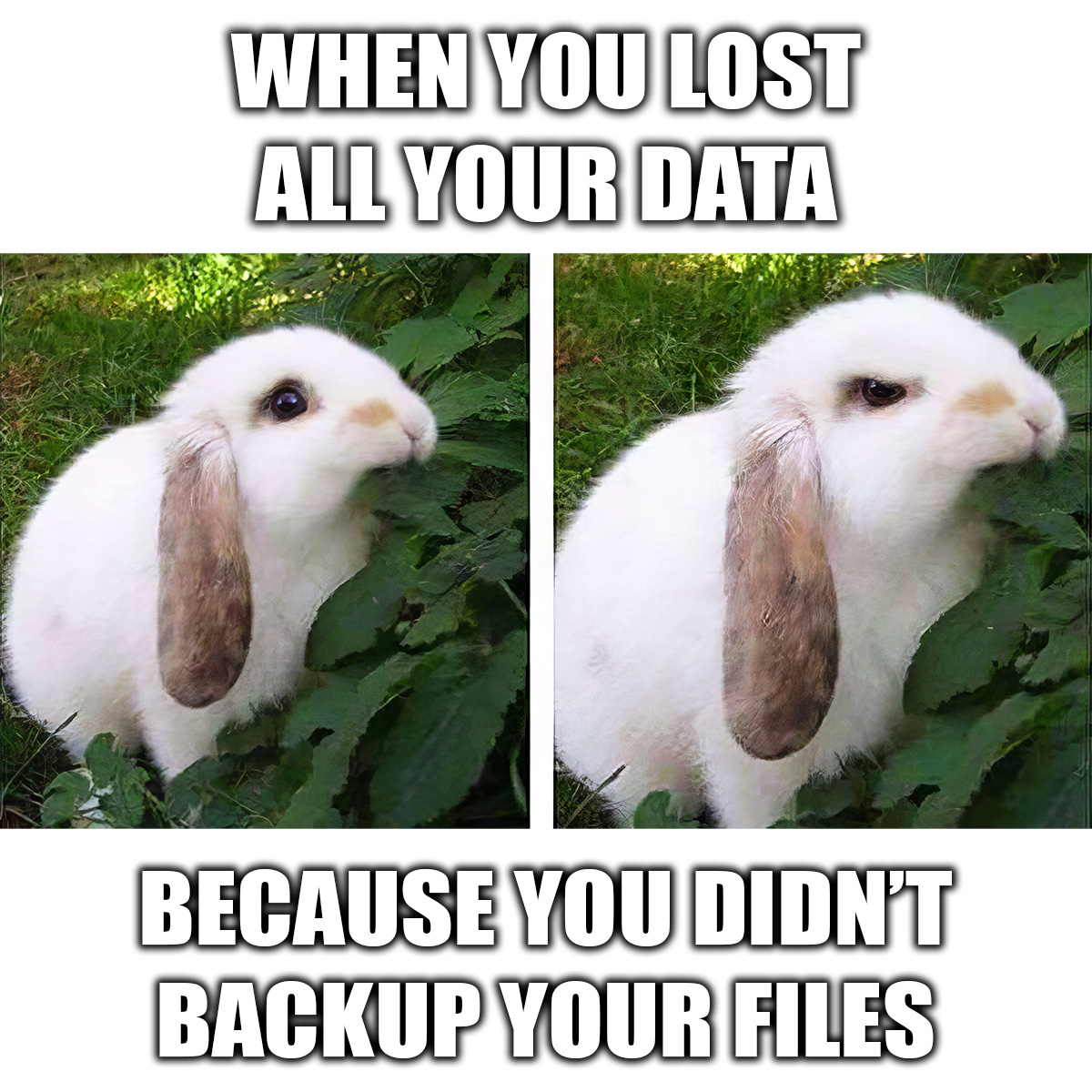 Don't let your data play hide & seek this Easter. 🐰 Start to protect your files with one of our dedicated servers from our #ServerAuction. They even include a 100GB backup space in form of a Storage Box. 😏🤝 Don't be a fool - back up your data! 🚀#WorldBackUpDay #HappyEaster