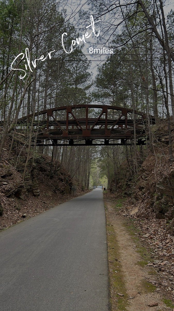 Robin K. Triplett tweet media