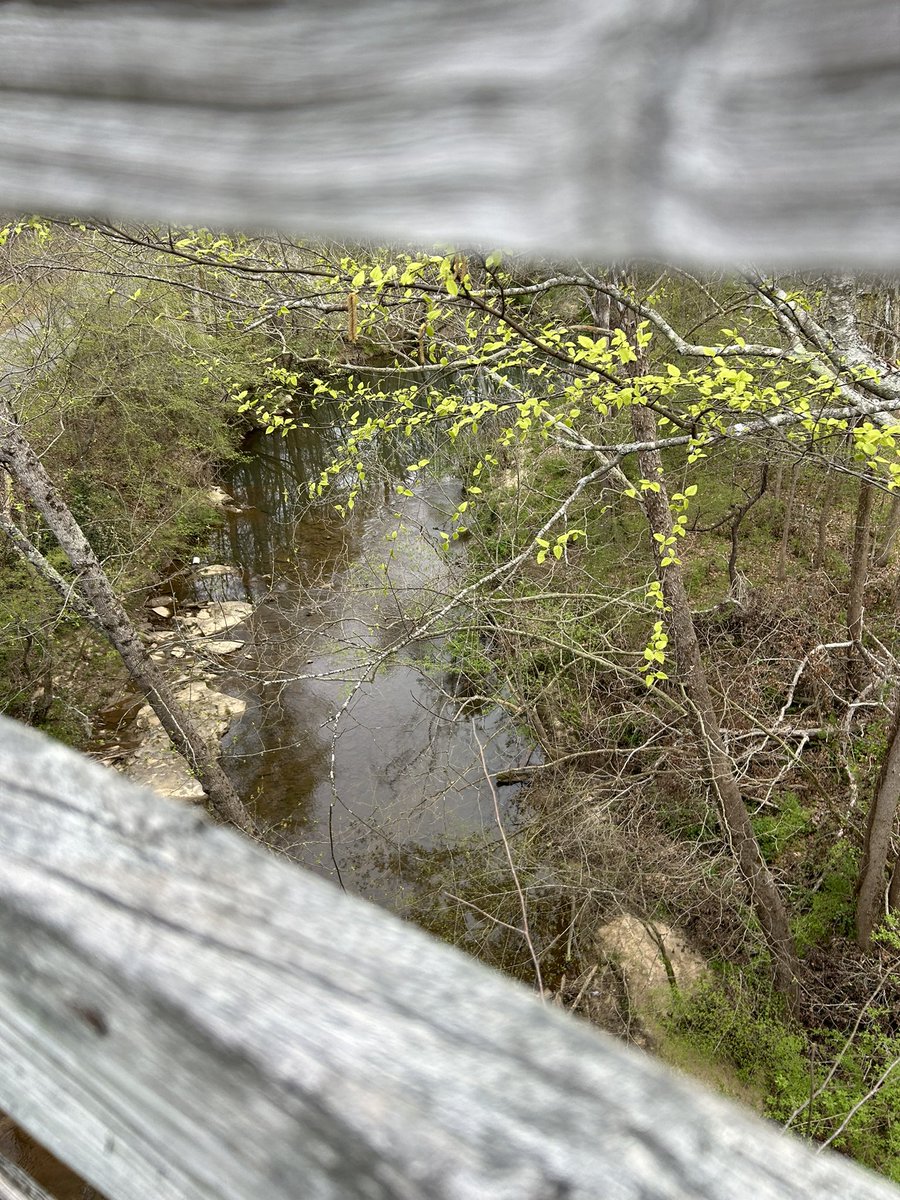 #SundayRunday 8miles on the #SilverComet 🏃🏼‍♀️