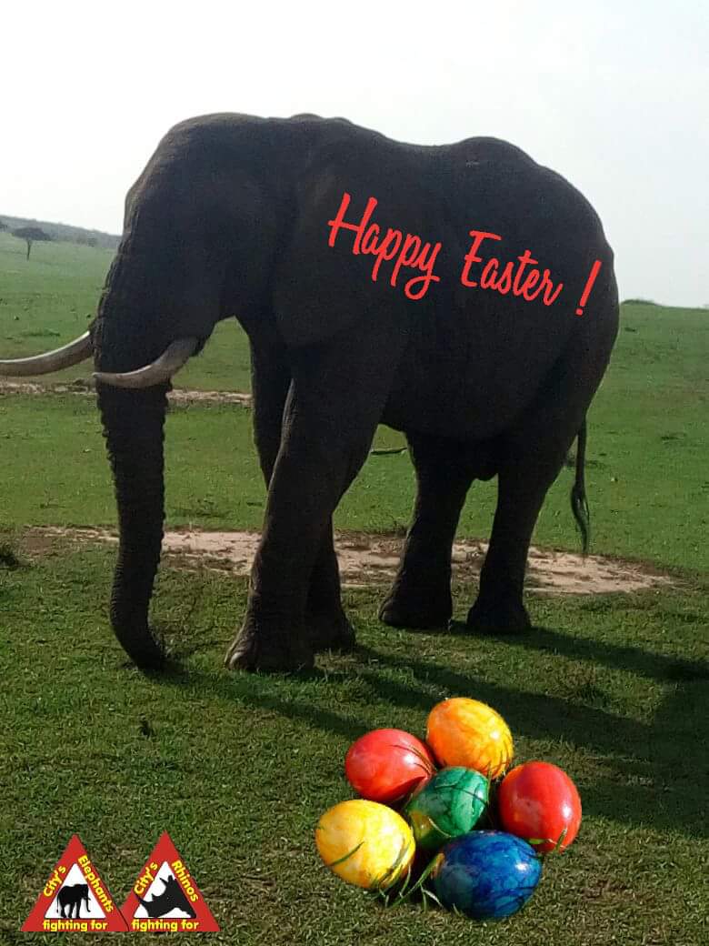🐇 🐘🐇🐘🐇🐘🐇🐘🐇🐘🐇 🐘
🐘 🐇 Easter🥚Fun 🥚Day 🐘 🐇
🐇 🐘🐇🐘🐇🐘🐇🐘🐇🐘🐇 🐘
💕Happy Easter 🐇💕🐘💕
#Easter2024 #Ostern2024 
#Elephants