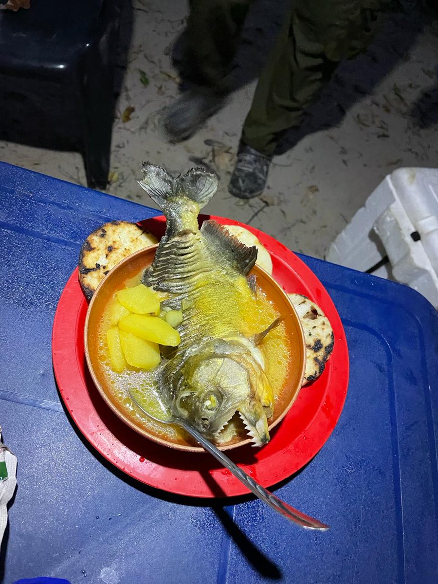 espaciodepesca's tweet photo. Sopa de piraña #pesca #fishing @fotospesca https://t.co/jlbzLwXSeV
