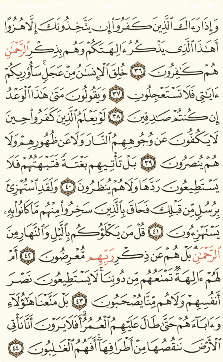 مساء الخير ورد الاحد 💖