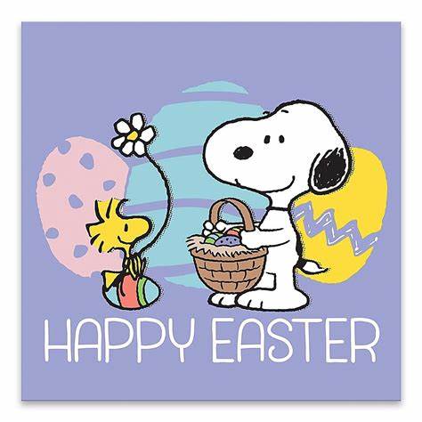DebbieT4165's tweet photo. Wishing you all the hope and beauty of springtime and the promise of brighter days! Happy Easter!! 🐰🌸🥚 #happyeaster #easter #eastersunday #snoopyandwoodstock #snoopy https://t.co/7wli3etTZm