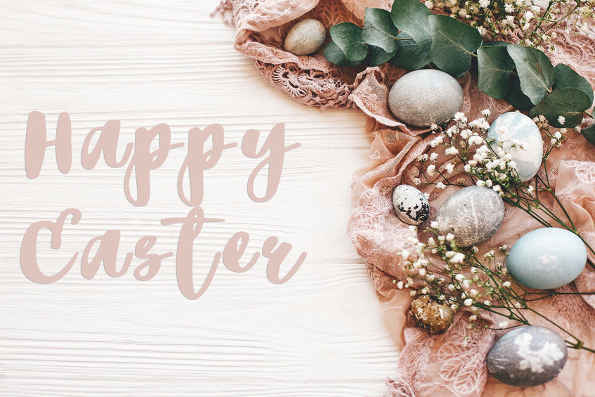 PromoDona's tweet photo. Happy Easter everyone! https://t.co/qGHLcJDxVL